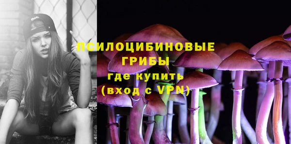 соль ск Медвежьегорск