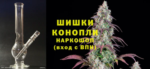 мдпв Магас