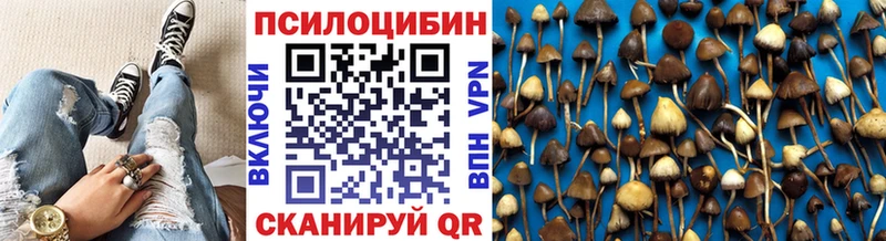 OMG ссылки  Малая Вишера  Галлюциногенные грибы прущие грибы 